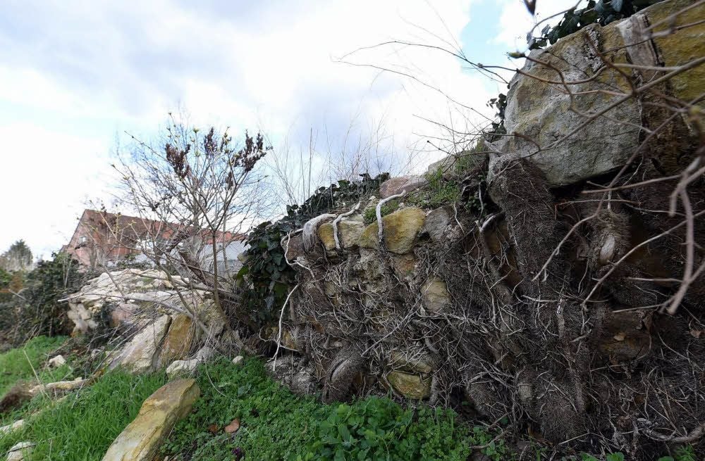 An Akens Stadtmauer muss etwas getan werden.