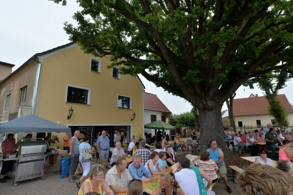Die Eiche ist das Wahrzeichen von Cochstedt.
