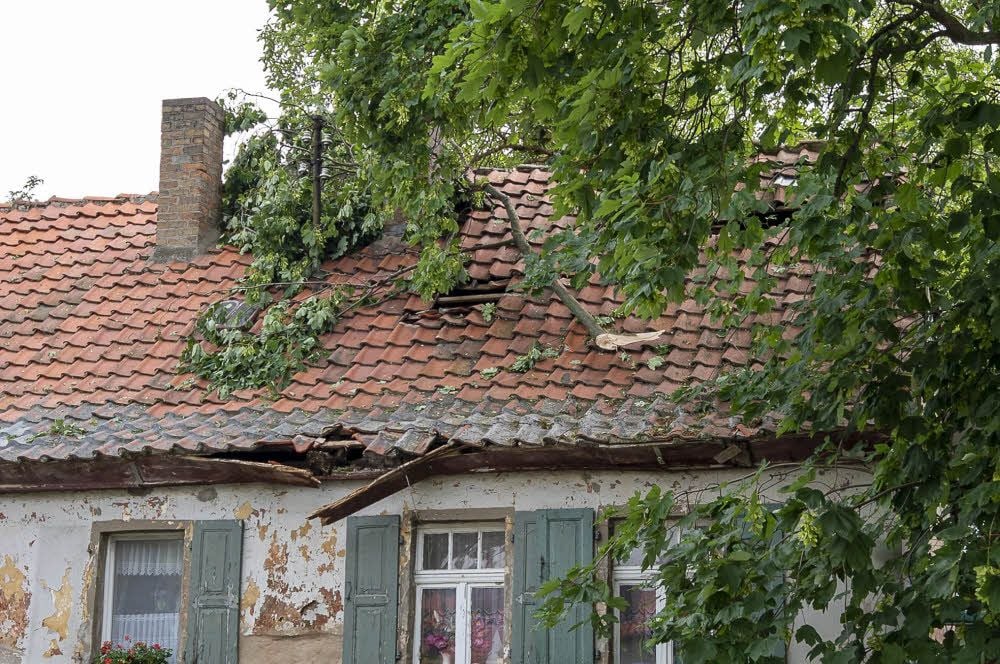 Ein großer Ast hat während des Unwetters das Dach eines Wohnhauses in Radisleben beschädigt.
