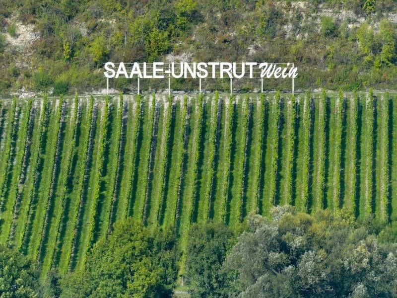 Blick auf einen Weinberg mit dem Schriftzug „Saale-Unstrut Weine”. Foto: Peter Endig/Archiv