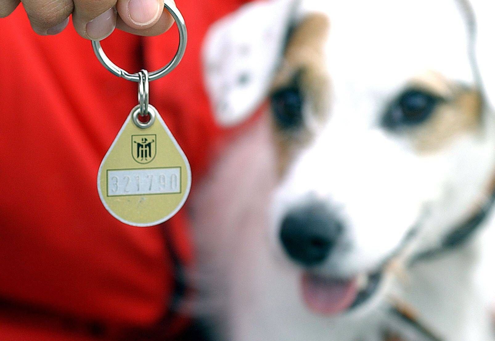 Hundesteuer ist pro Hund zu entrichten