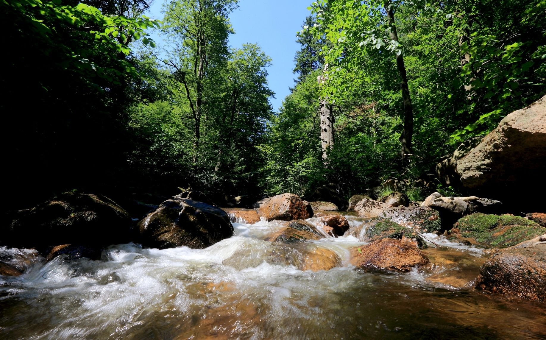 Die Wasserfälle der Ilse nordöstlich des Brockens faszinierten schon 1824 Heinrich Heine auf seiner Harzreise. Hier endet der nach dem Dichter benannte 12 Kilometer lange Heinrich-Heine-Weg vom Brocken.