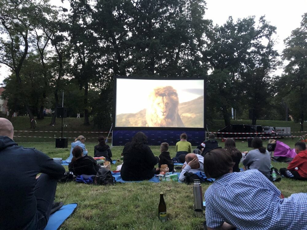 Picknick und Kino