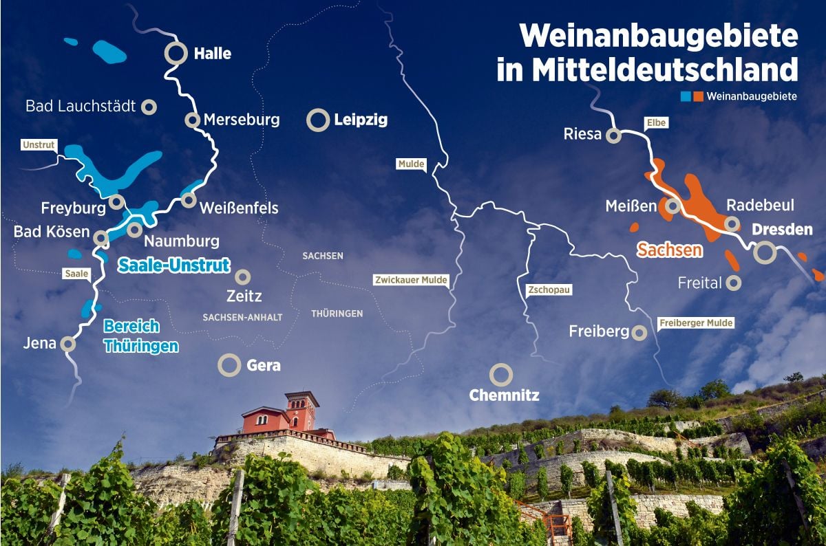 Die Mitglieder der Winzervereinigung Freyburg-Unstrut bewirtschaften Weinberge im gesamten Anbaugebiet.