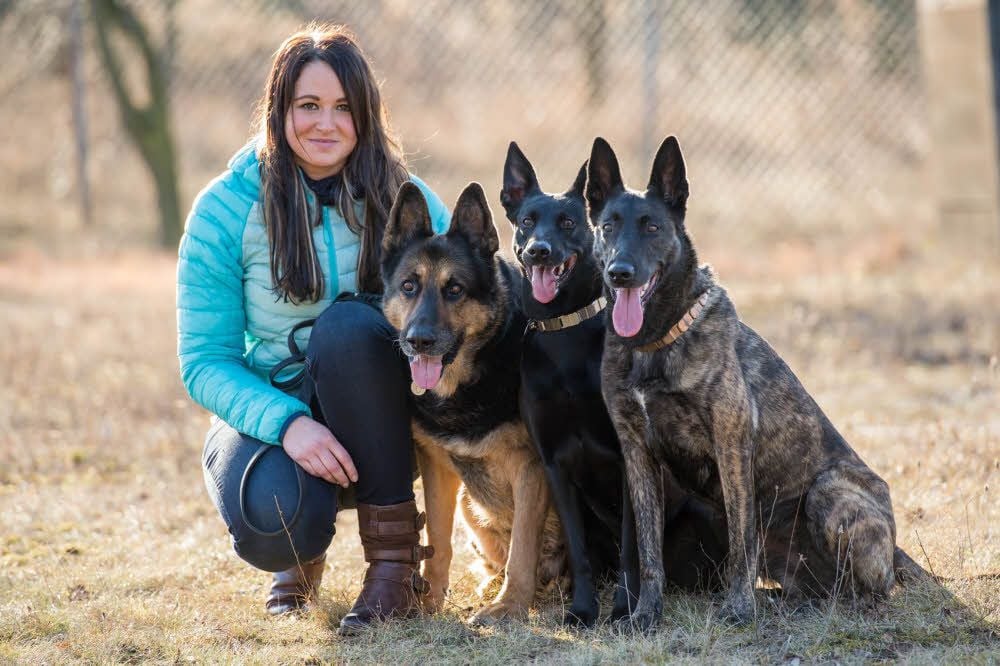Hundetrainerin Isabell Schleiß mit Schäferhund Rex und den beiden Hollandse X-Herder-Hündinnen Noala und Fleur (rechts).