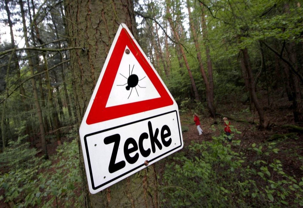In Hochrisikogebieten wie hier bei Rodgau in Hessen warnen Schilder vor der Gefahr durch Zecken, die Erreger wie das FSME-Virus in sich tragen.