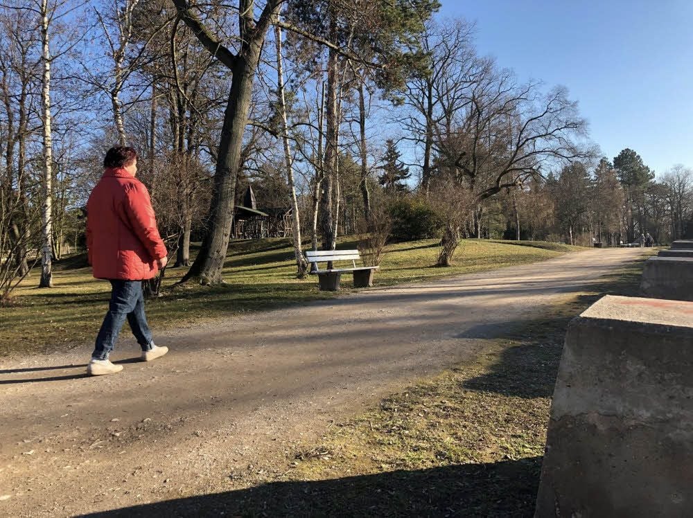 Die meisten Bäume im Kurpark von Bad Dürrenberg haben den Sommer gut überstanden. Doch einige Nadelbäume haben es nicht geschafft.