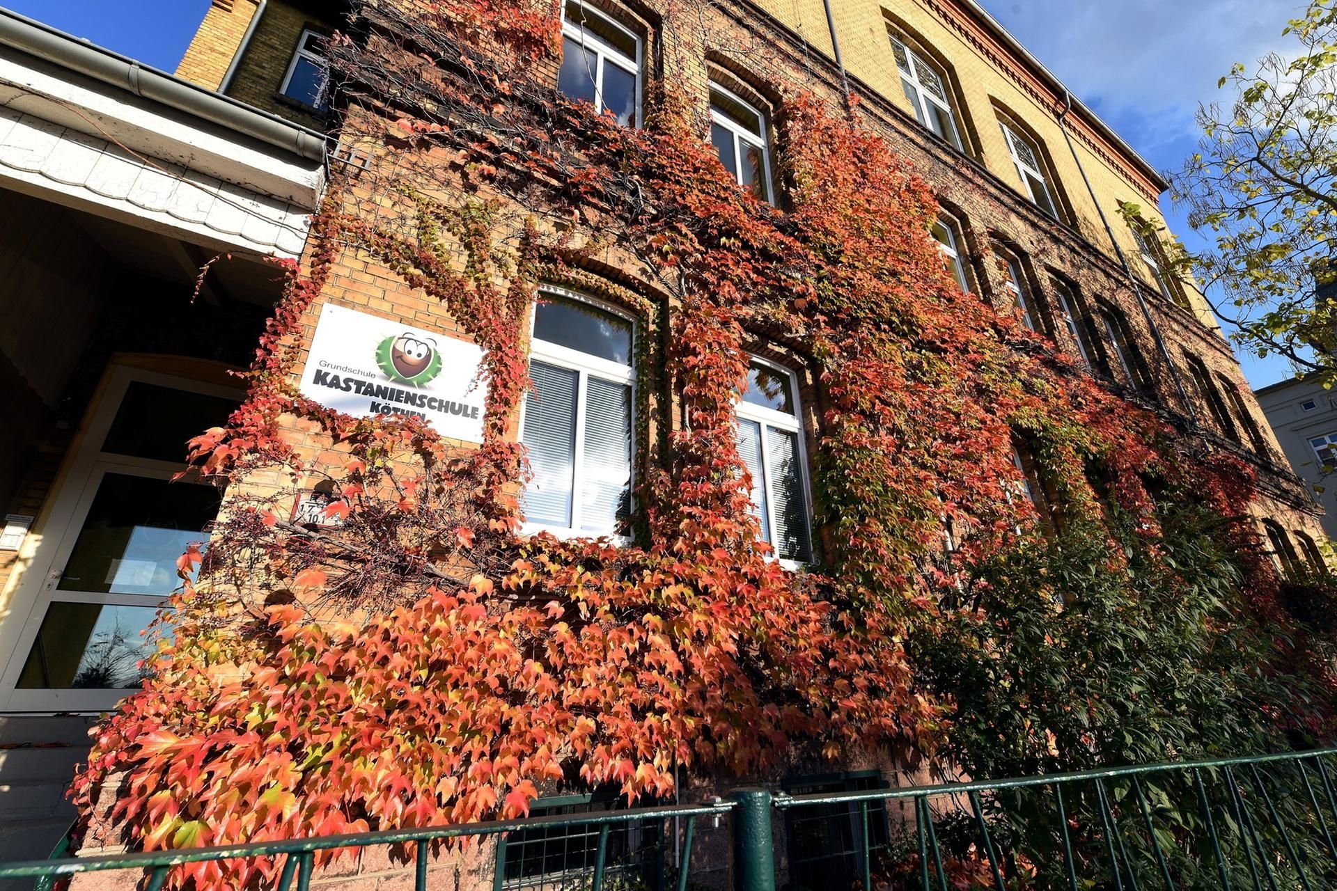 Die Kastanienschule in Köthen