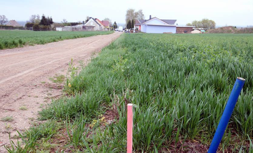Ein Teil des Mühlweges in Bründel ist noch unbefestigt. Die Saale-Wipper-Verwaltung sieht im Gegensatz zu einer baldigen Anwohnerin jedoch keinen akuten Handlungsbedarf.