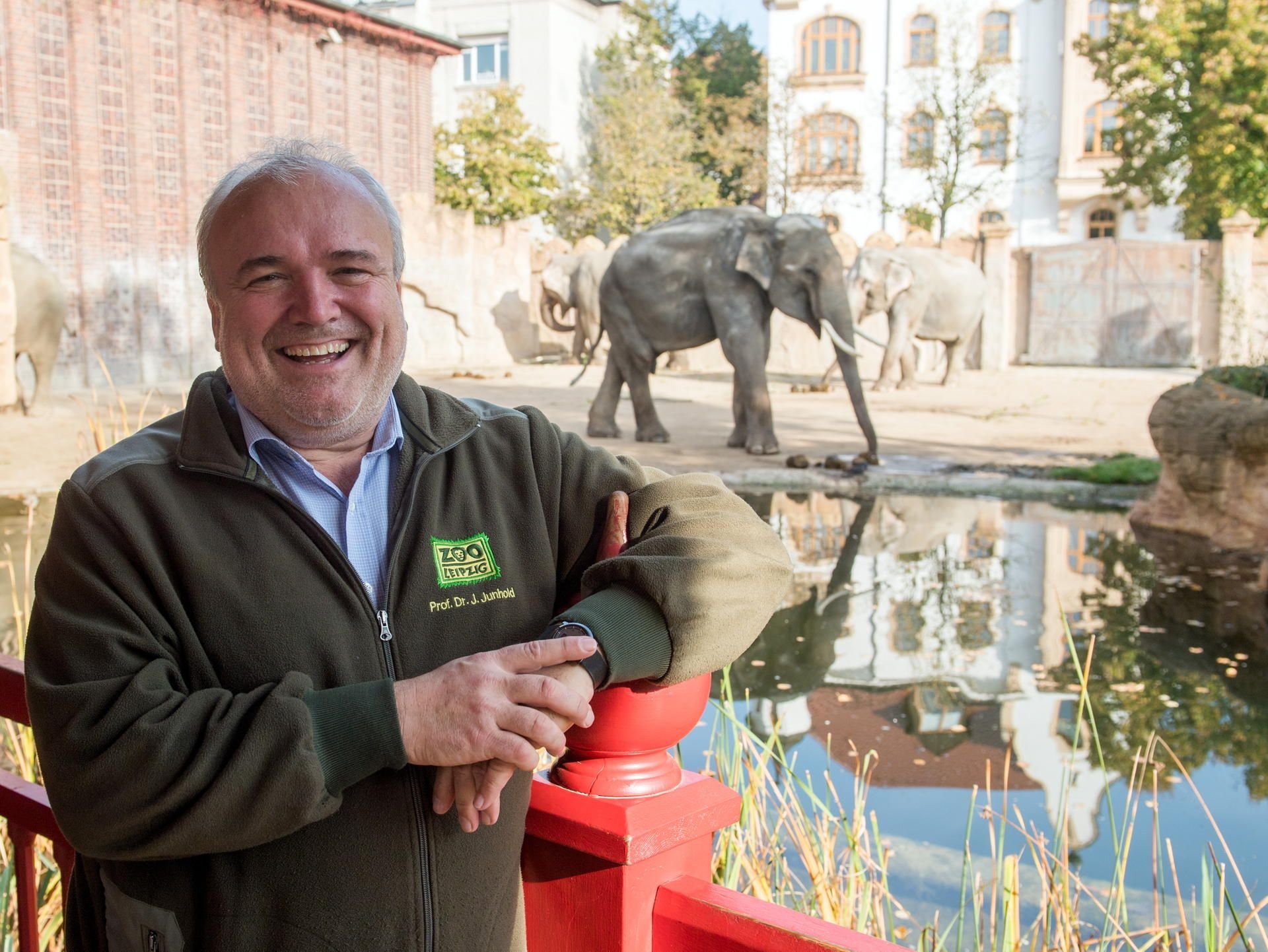 Der Direktor des Zoo Leipzig, Jörg Junhold posiert am Gehege zur Elefantenanlage. Am 1. November ist er 20 Jahre als Zoo-Direktor in Leipzig im Amt.