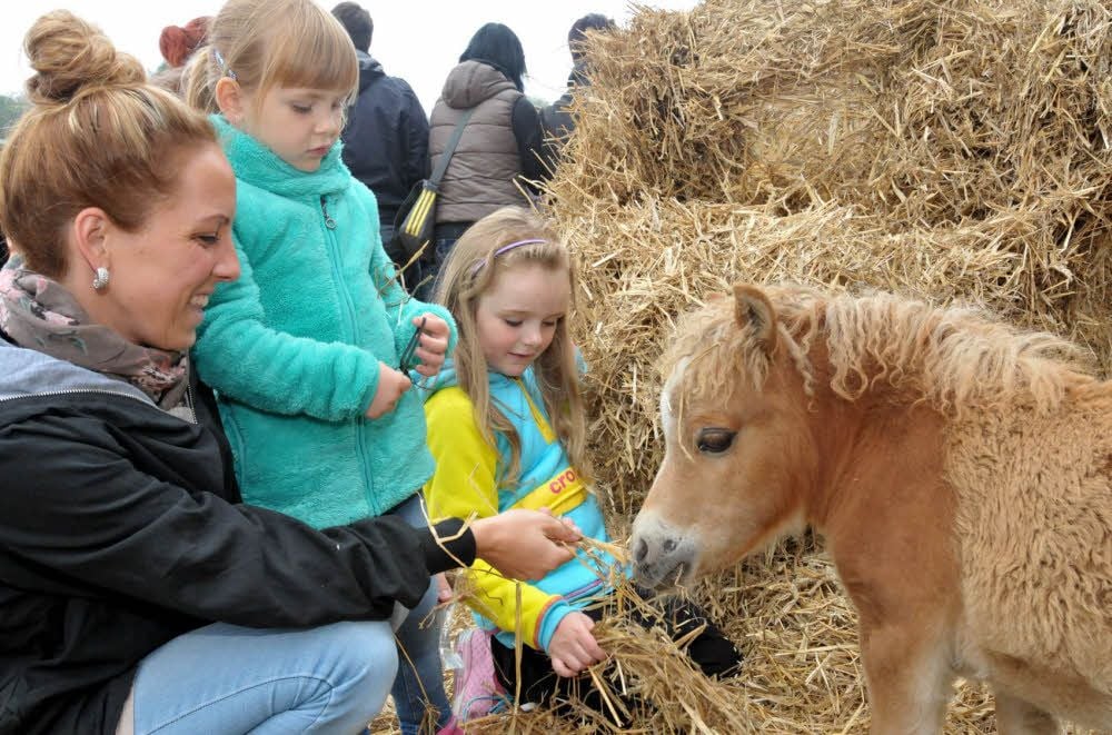 Zu früheren Besuchern des Pferdemarktes in Neugattersleben gehörten auch Anne Schmidt mit ihren Töchtern Zoe und Sophia. Sie fütterten das kleinste Fohlen auf dem Pferdemarkt.
