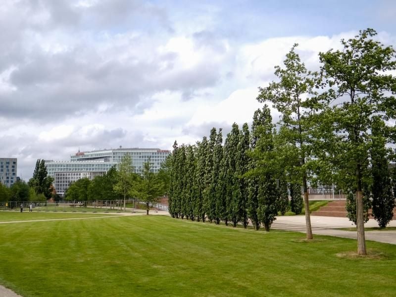 Der Lohsepark in der Hafencity vor seiner Eröffnung. Foto: Axel Heimken/Archiv