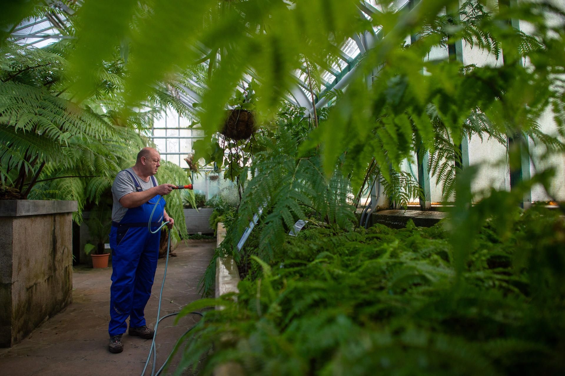 Sachsen-Anhalts botanische Gärten beherbergen zahlreiche exotische Pflanzen.