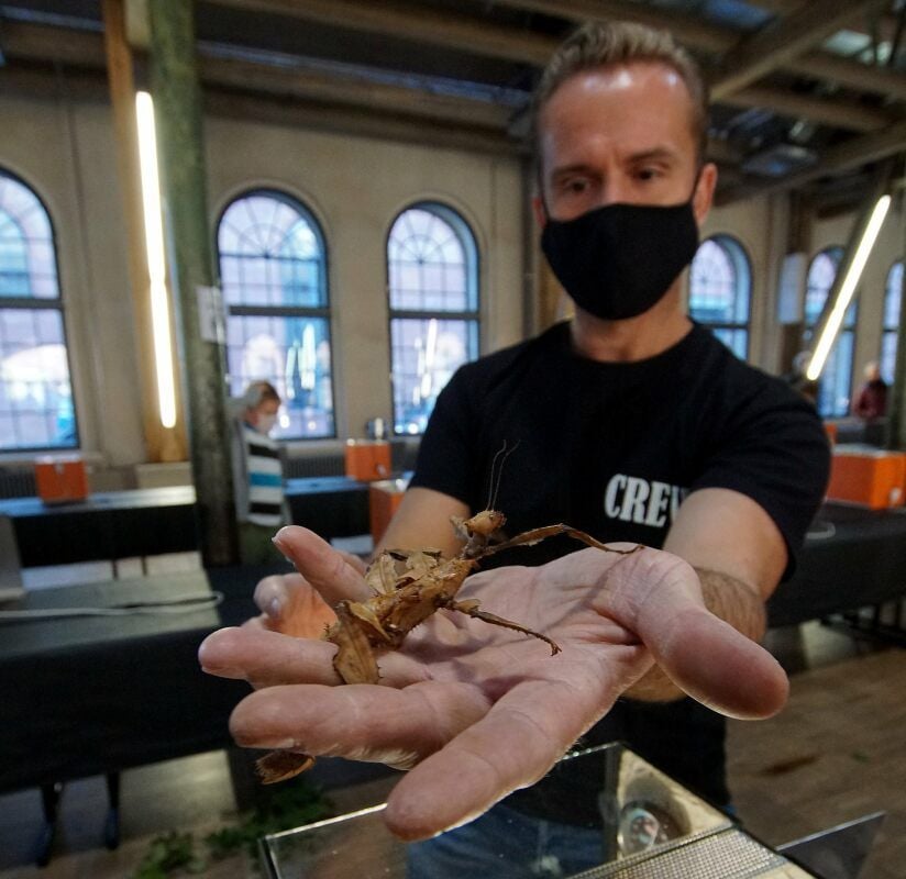 Der Ausstellungschef zeigt eine Gespensterschrecke.