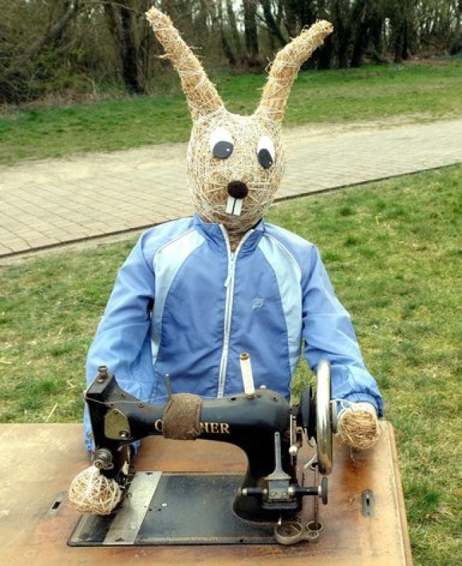 Dieser Hase wird im Fach Hauswirtschaft geschult.