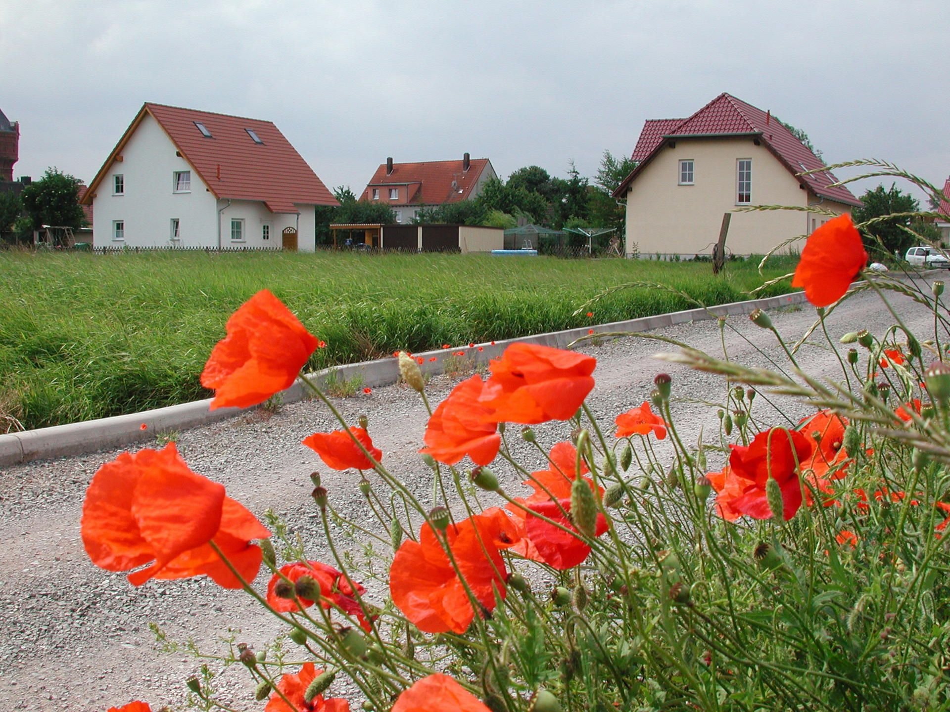 Einfamilienhäuser in Frose