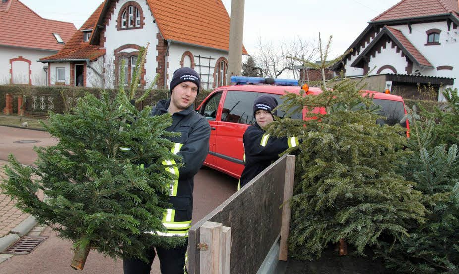 Maximilian Wilke (li.) und Kevin Kuch sammelten in der „Kolonie“ die Bäume ein.