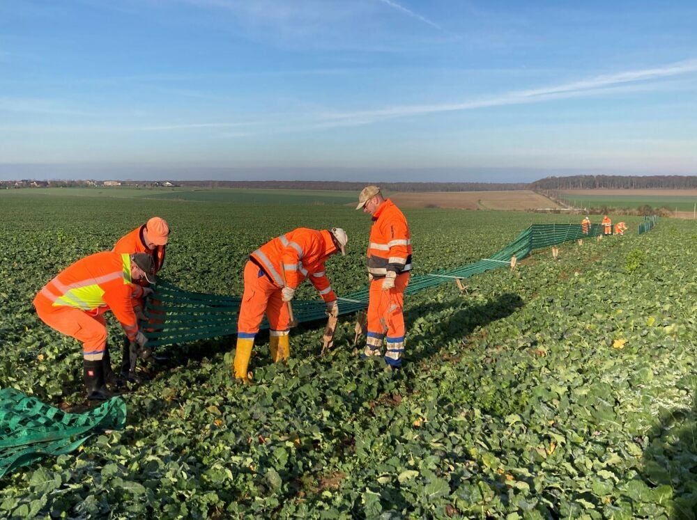 Mitarbeiter der Entsorgungsgesellschaft Saalekreis setzten diese Woche zwischen Ziegelroda und Landgrafroda Schneezäune.