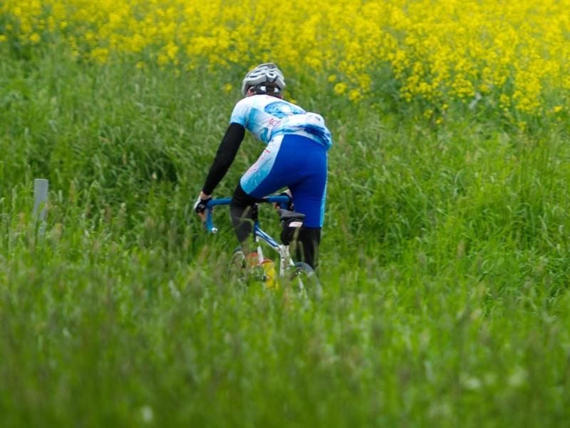 Mit dem Rennrad ist man schnell unterwegs - vorausgesetzt die Strecke ist dafür geeignet. Foto: Arno Burgi/dpa