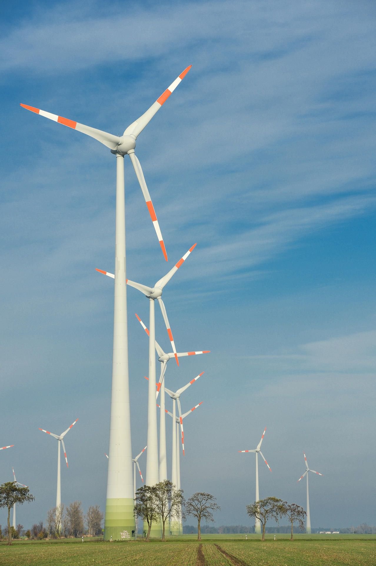 Hier im Windpark Quellendorf stehen schon genug Windräder, meint der Stadtrat der Stadt Südliches Anhalt.