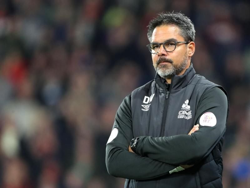 David Wagner soll den FC Schalke als Trainer wieder zu einem Spitzenclub machen, der um die Meisterschaft kämpft. Foto: Richard Sellers/PA Wire