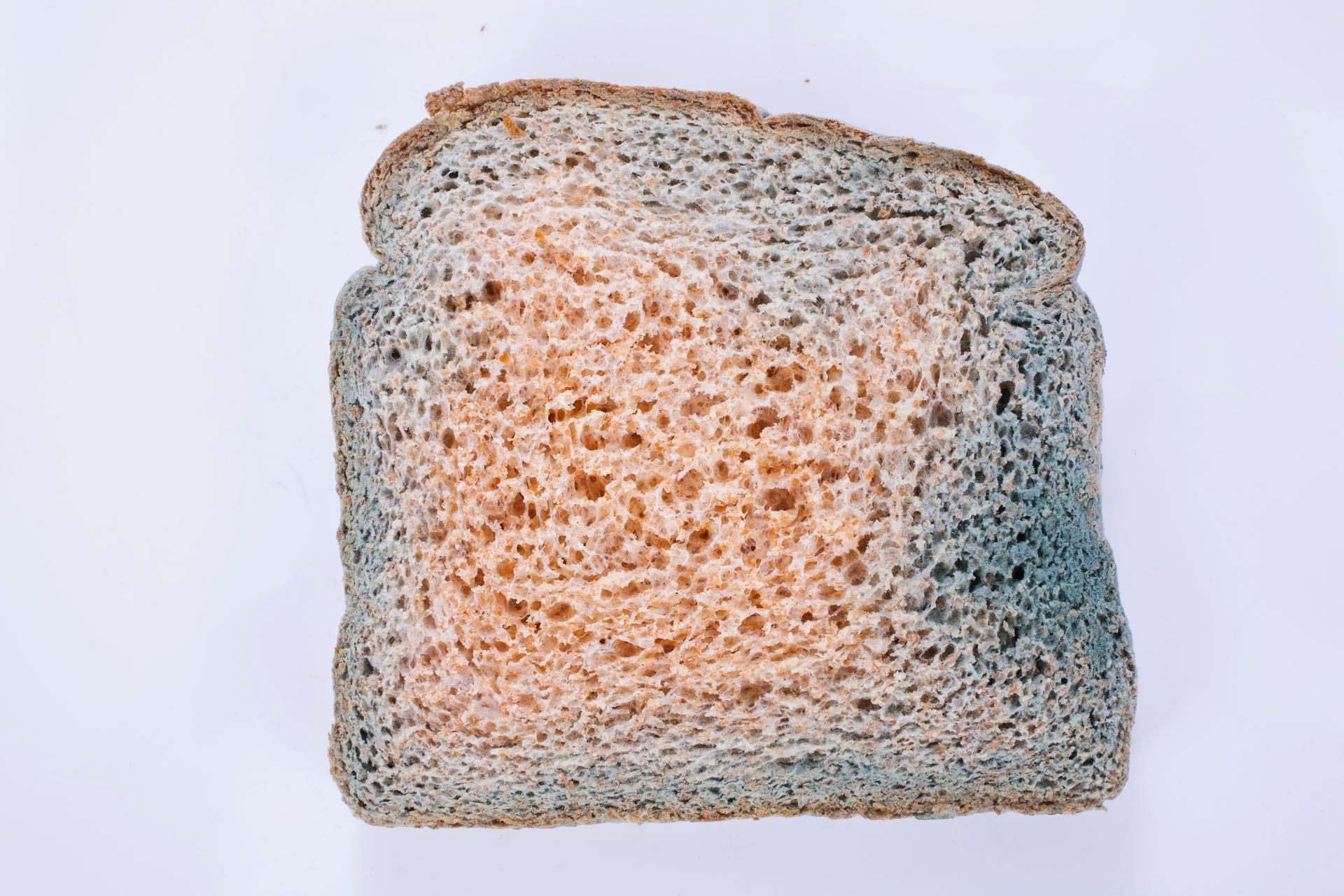 Eine Lehrerin appelliert nach einem Schulexperiment mit Toastbrot für gründliches Händewaschen.