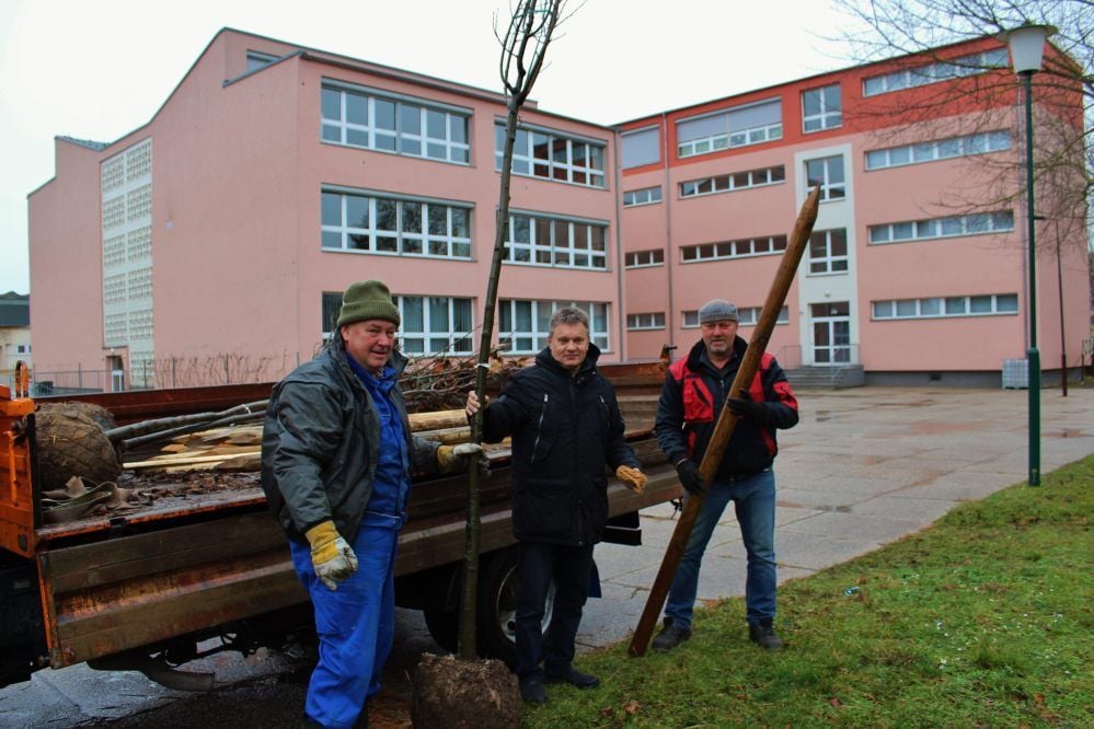Mitglieder des Imkervereins Unstruttal Nebra und Umgebung bereiten die Baumpflanzaktion vor.