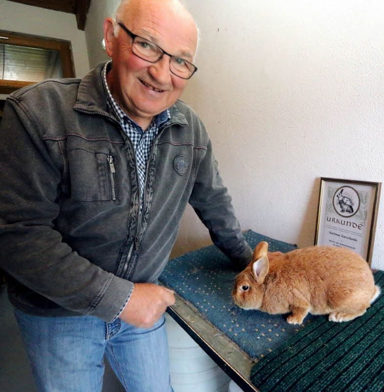Hartmut Karschunke mit einem seiner Lieblinge. Das ist der Zuchtrammler der Rasse Kleinsilber (gelb). Dahinter steht die Urkunde als Meister der Kaninchenzucht.