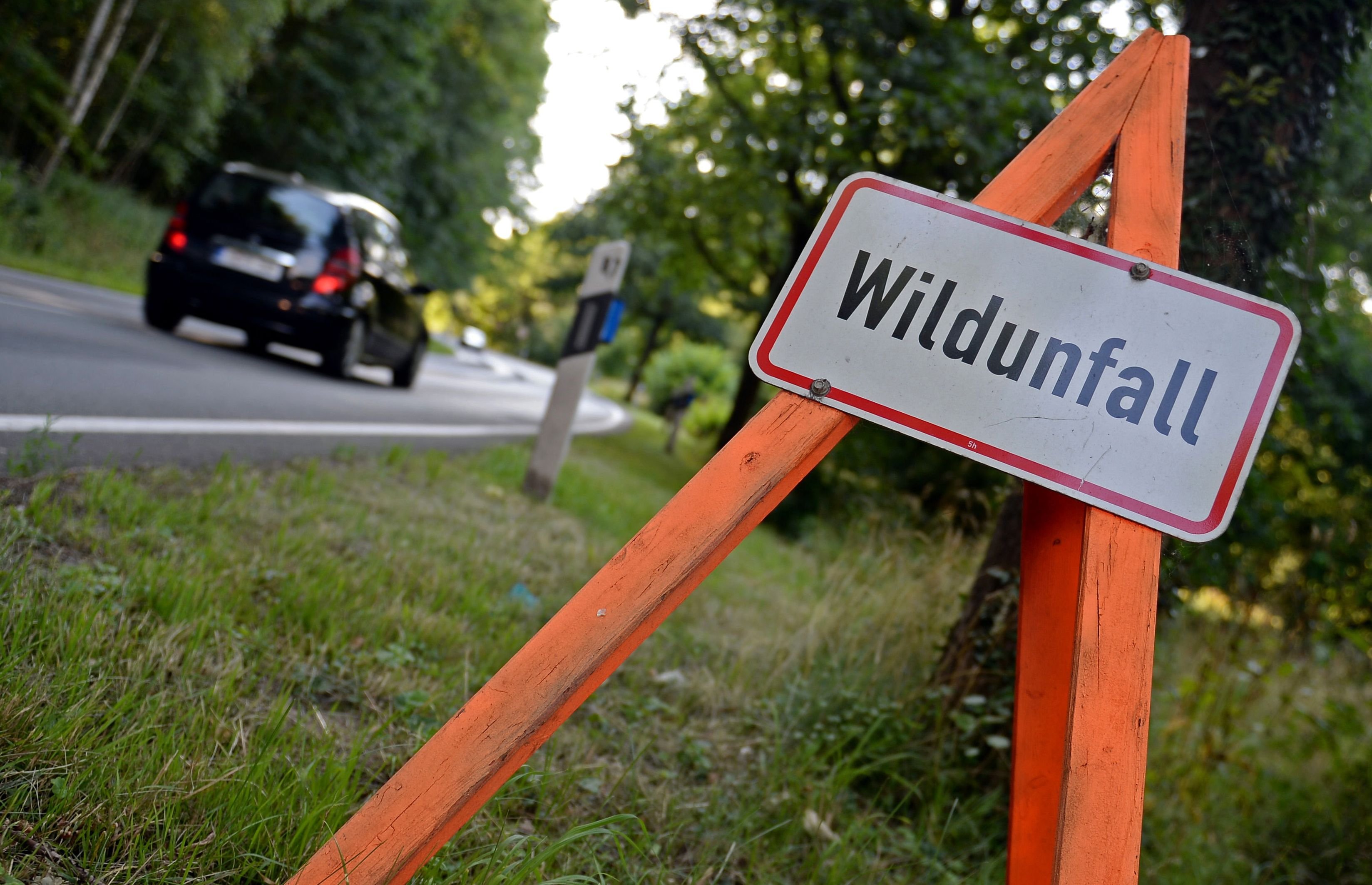 Schwerer Unfall Auf B187 In Roßlau: Schwerer Unfall Auf B187 In Roßlau ...