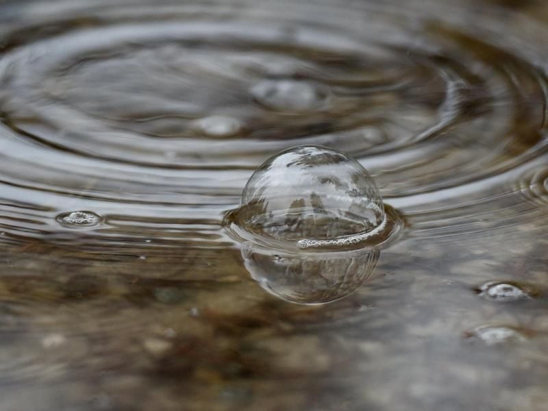 Regen verursacht Kosten, wenn das Wasser vom Grundstück in die Kanalisation abfließen muss. Diese Gebühren an die Kommune lassen sich aber vermeiden. Foto: Angelika Warmuth.