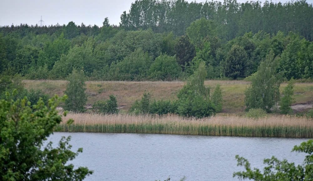 Wald, Wasser, weite Flächen - Natur pur am Köckerner See.