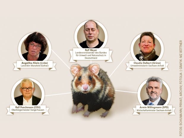 Diese fünf Hauptprotagonisten wollen am Freitagabend dafür Sorge tragen, dass das Projekt Industriepark Mitteldeutschland nicht scheitert. Einziges Thema: der Hamster.