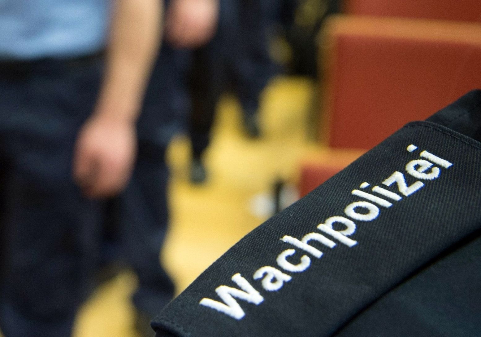 Die sogenannte Wachpolizei ist eine Organisationseinheit innerhalb einiger deutschen Landespolizeien. Sie hat einen speziellen Aufgabenbereich, dazu zählen meist Unterstützungs- und Objektschutzaufgaben.