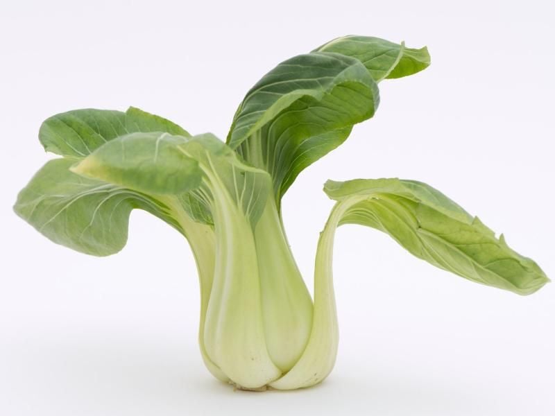Beim Pak Choi kann man sowohl die Blätter als auch die Stiele für die Zubereitung von Speisen verwenden. Foto: Andrea Warnecke/dpa-tmn