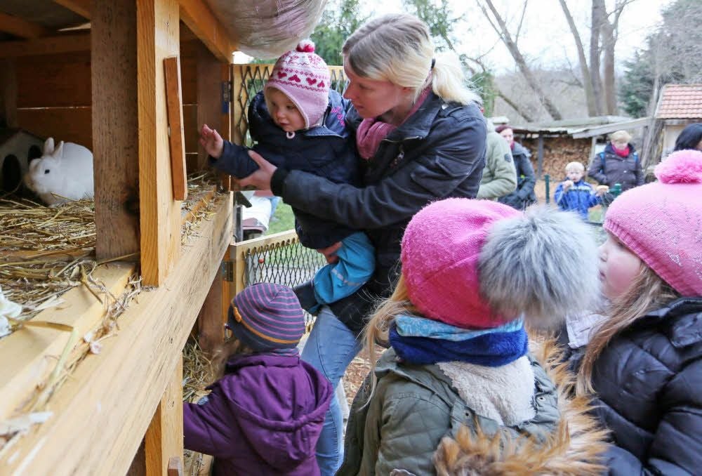 Neugierig schauen die Kinder in die neue Stallanlage für Kaninchen und Meerschweinchen im Quedlinburger Ökogarten.