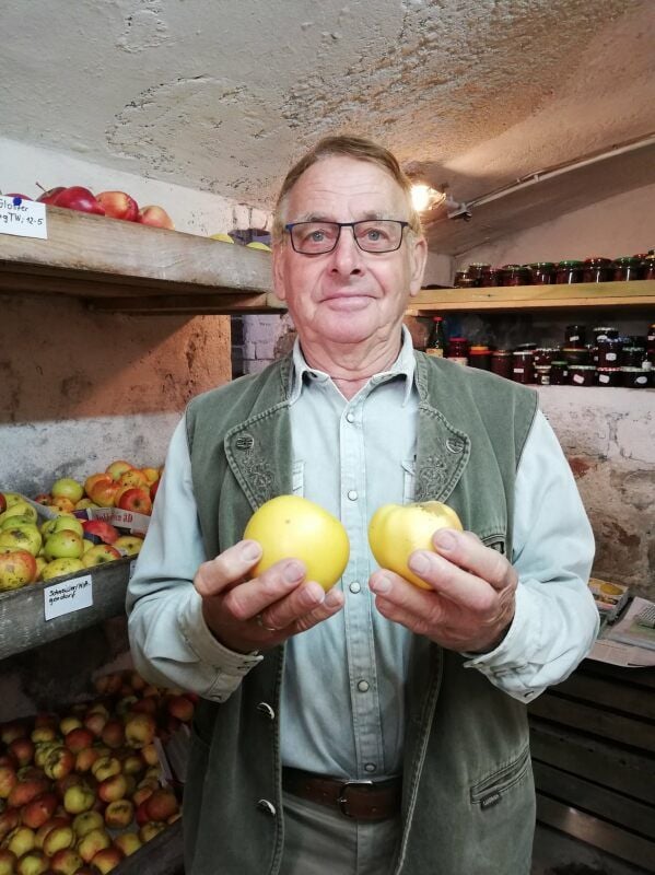 Der ehemalige Bio-Lehrer Walter Janovsky sammelt Äpfel.
