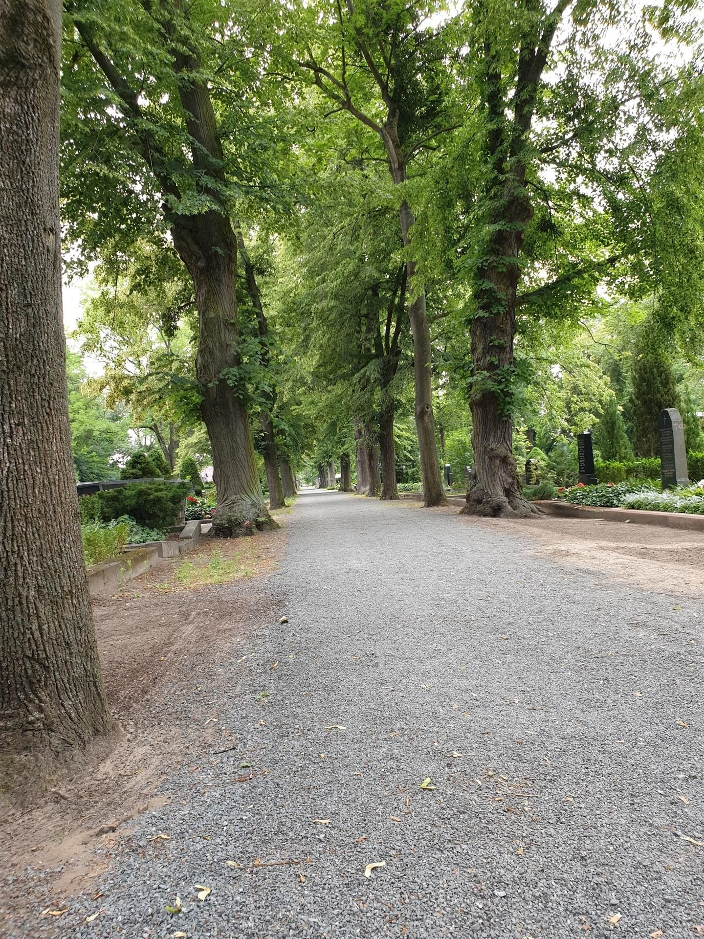 Der sanierte Weg zur Friedhofskapelle