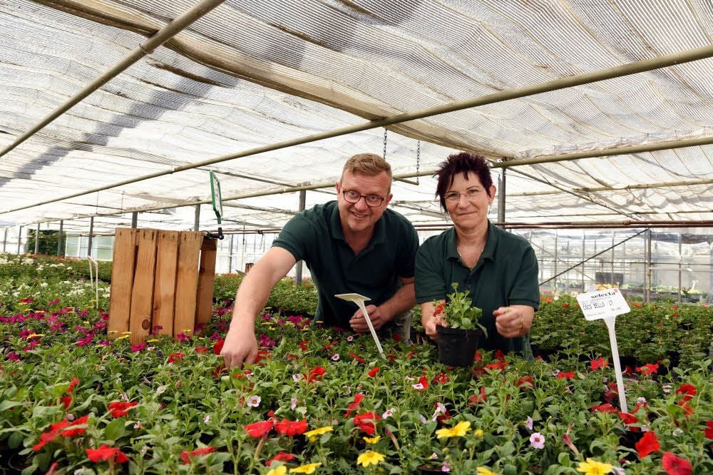 Beet- und Balkonpflanzen verkaufen Silvio Büttner und seine Mitarbeiterin Veronika Lehmann in Görzig.