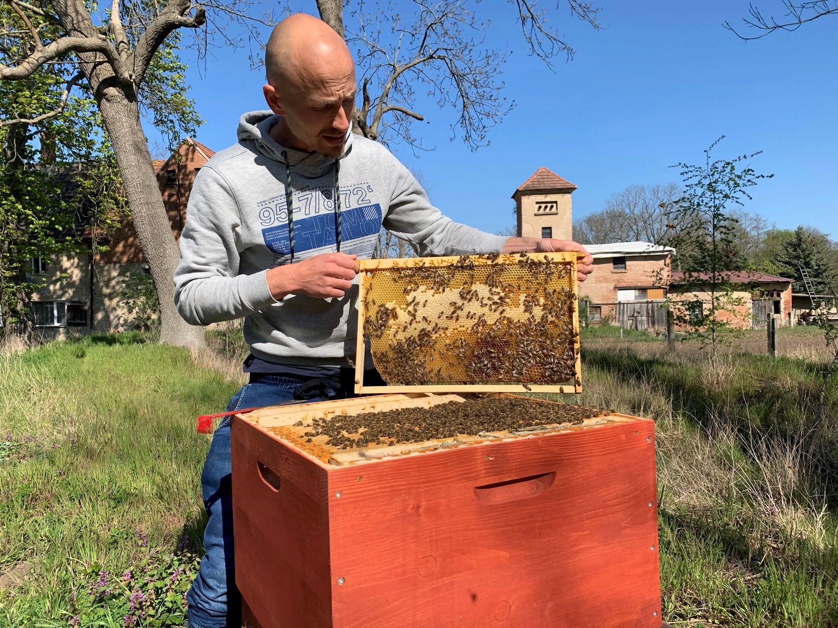 Martin Volkmar kontrolliert den Bienenstock.