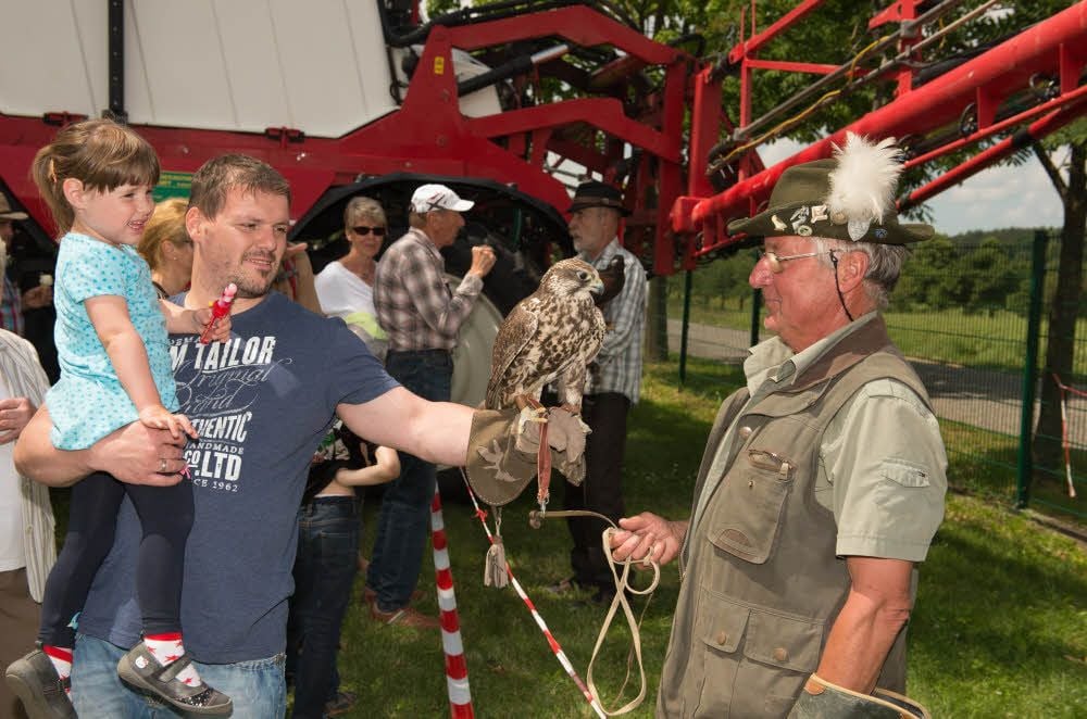 Einem Falken ganz nah gekommen ist Emilia mit ihrem Vater Steffen Risch. Den Greifvogel hat Bernhard Wittig aus Bad Kösen zum Tag des Hofes mitgebracht.