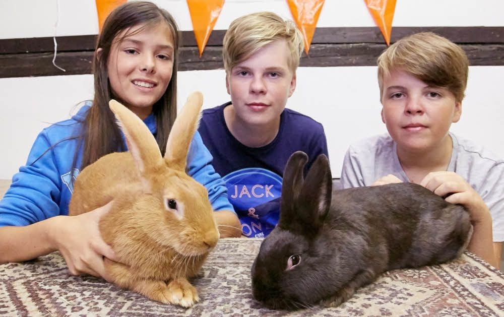 Die Geschwister Sarah Damaschke (v. l.), Niklas und Elias Heyne aus Könnern zeigen ihre Jungtiere der Rassen Burgunder und Havanna.