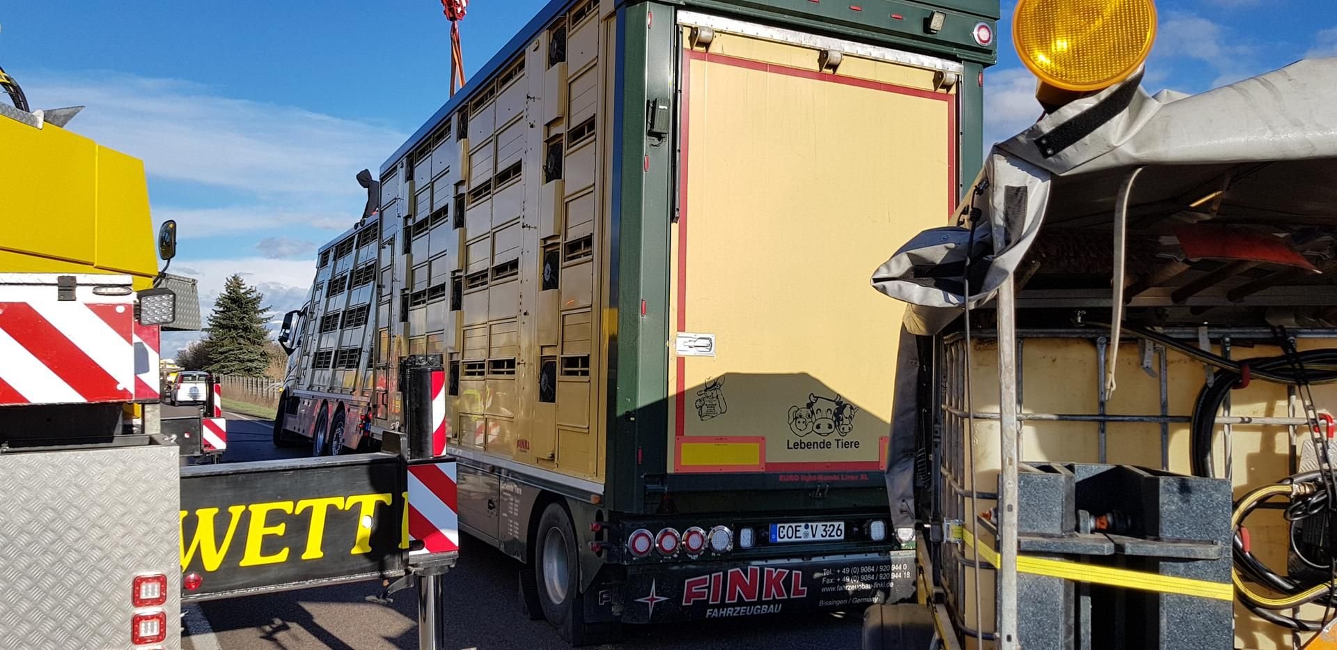 Der Tiertransporter drohte neben der B100 umzukippen und musste gesichert werden.