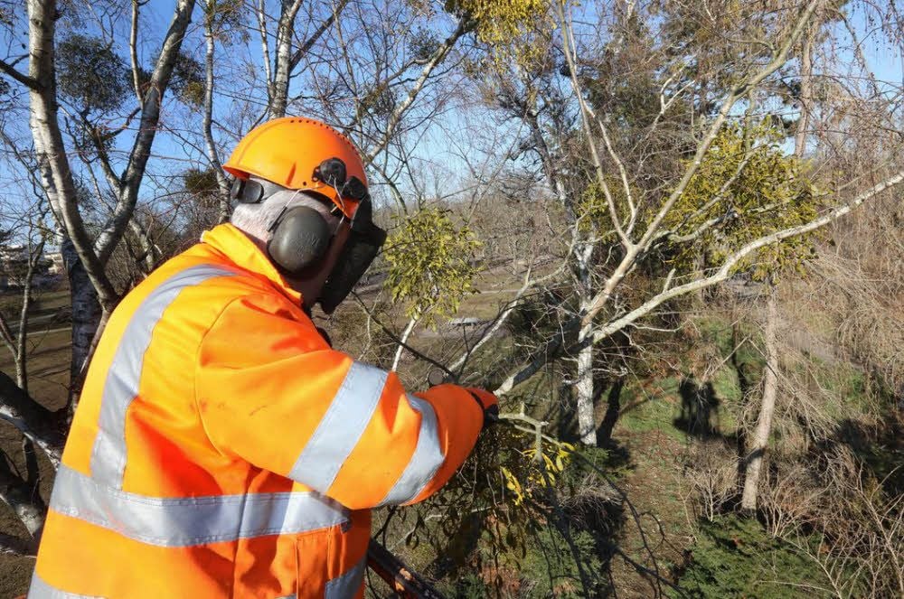 Im Schillerpark haben die Stadtpflege-Mitarbeiter derzeit viel zu tun.