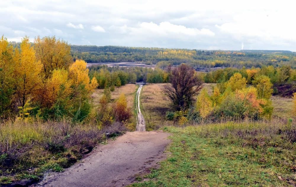 Idyllisch-herbstlicher Blick in den ausgekohlten Tagebauteil Profen - hier hinein soll eine Deponie für belastete Stoffe gebaut werden.