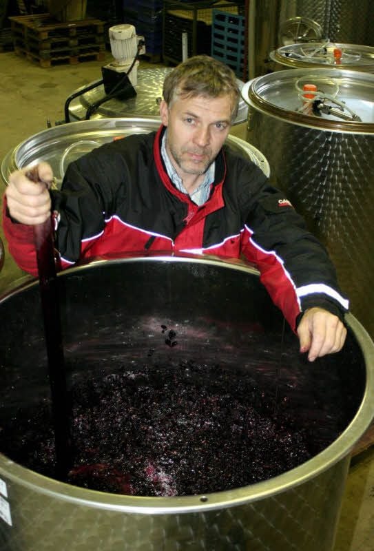 Winzer Ingo Hanke drückt hier bei der Rotwein-Gärung die Maische im Tank wieder nach unten. Denn die Schalen der Trauben, die durch den Gärvorgang nach oben gehoben werden, müssen in Kontakt bleiben mit dem Saft, um ihren roten Farbstoff an den Wein abgeben zu können.