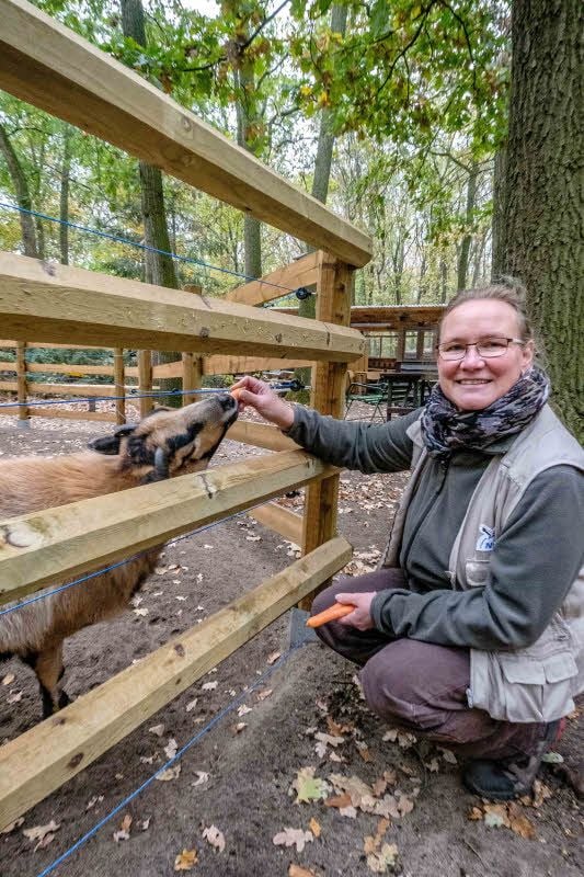 Petra Henkelmann, Leiterin des Nabu-Zentrums, füttert einen Ziegenbock mit einer Mohrrübe. Das Zentrum ist auf Nahrungsspenden angewiesen.