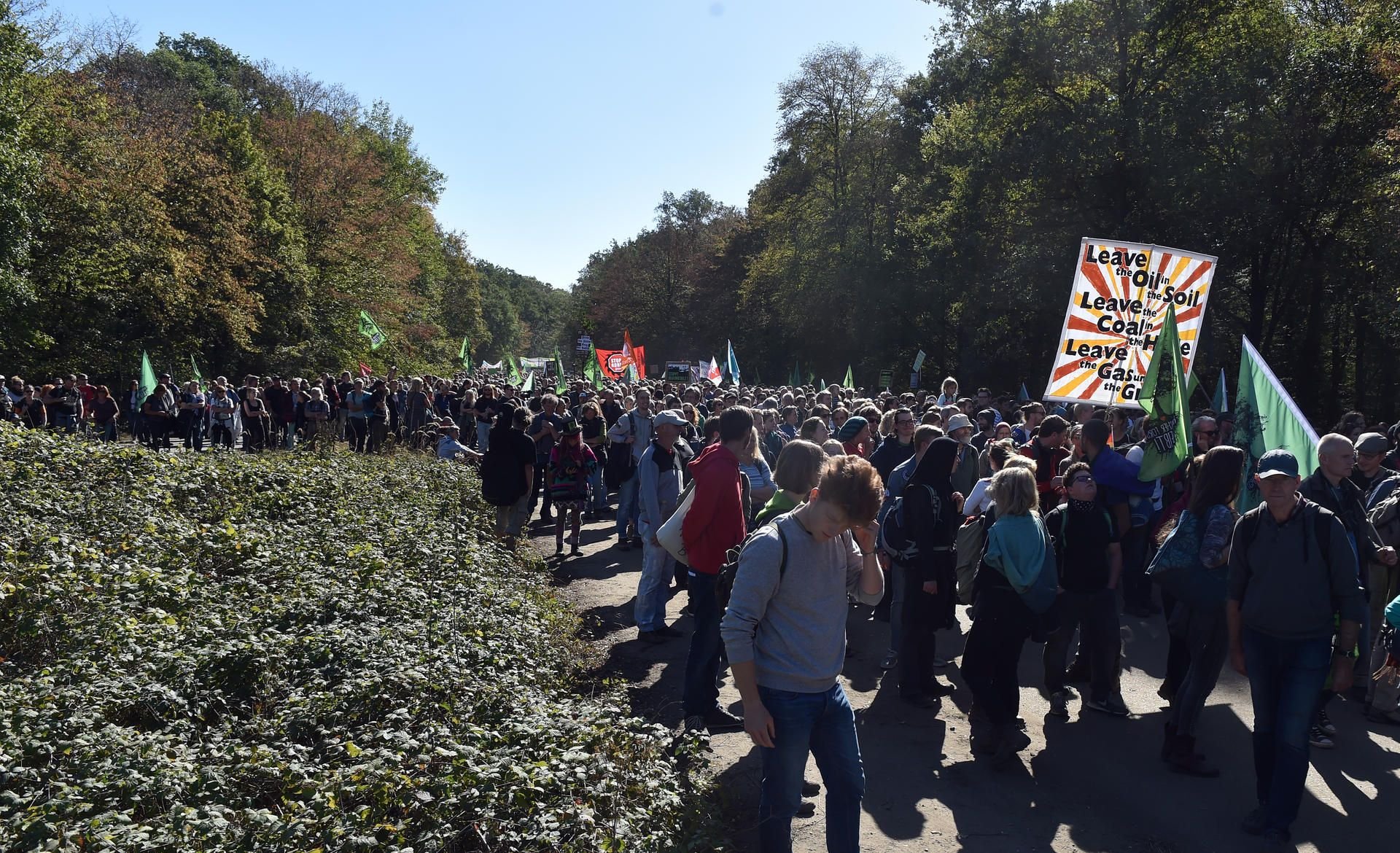 Teilnehmer gehen beim Protestspaziergang gegen die Rodung des Hambacher Forsts durch den Wald.