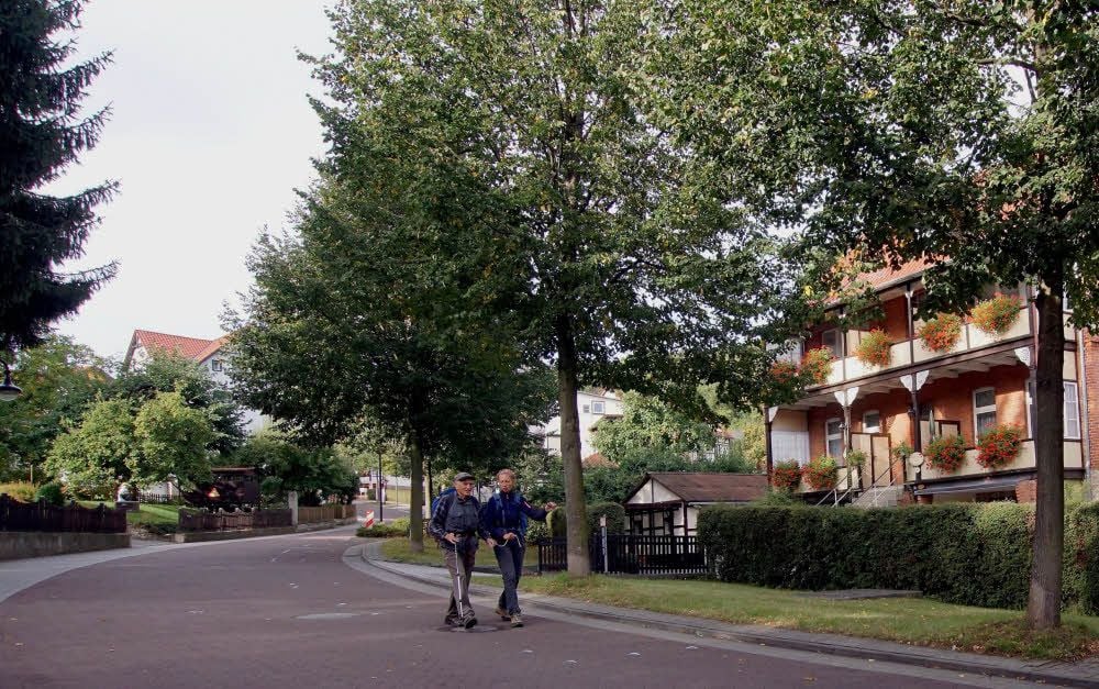 Die Linden in der Ellernstraße in Bad Suderode machen nicht jedem Anwohner Freude.