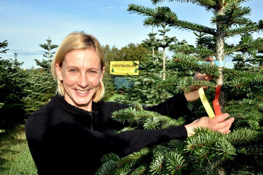 Christine Hennig vom Christbaumland in Lösau preist die Bäume mit farbigen Bändern aus.