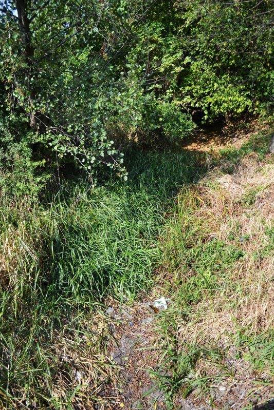 Der Zahnabach im August 2019.